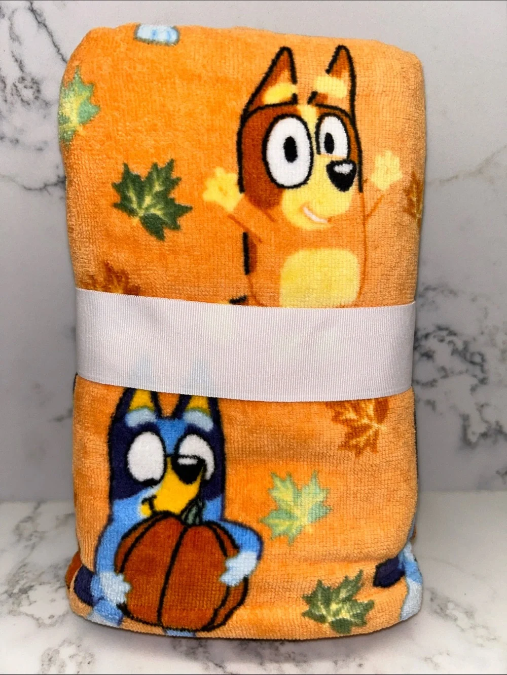 Disney Bluey Fall Hand Towels 2 Pack